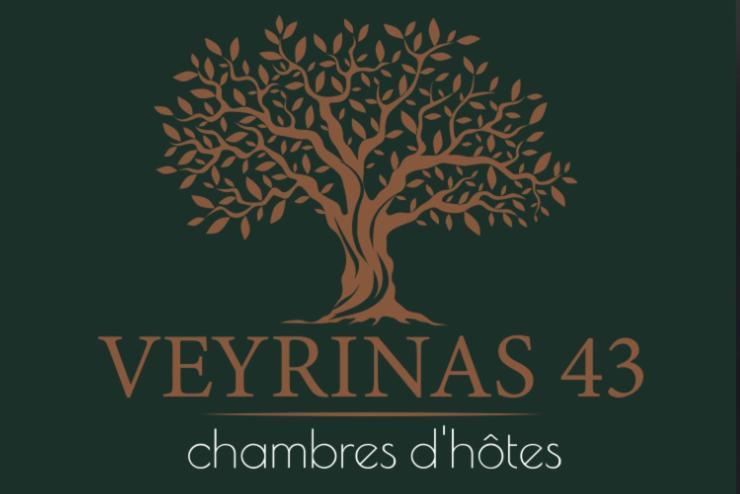 Bed and Breakfast Veyrinas 43 Saint-Yrieix-la-Perche Esterno foto