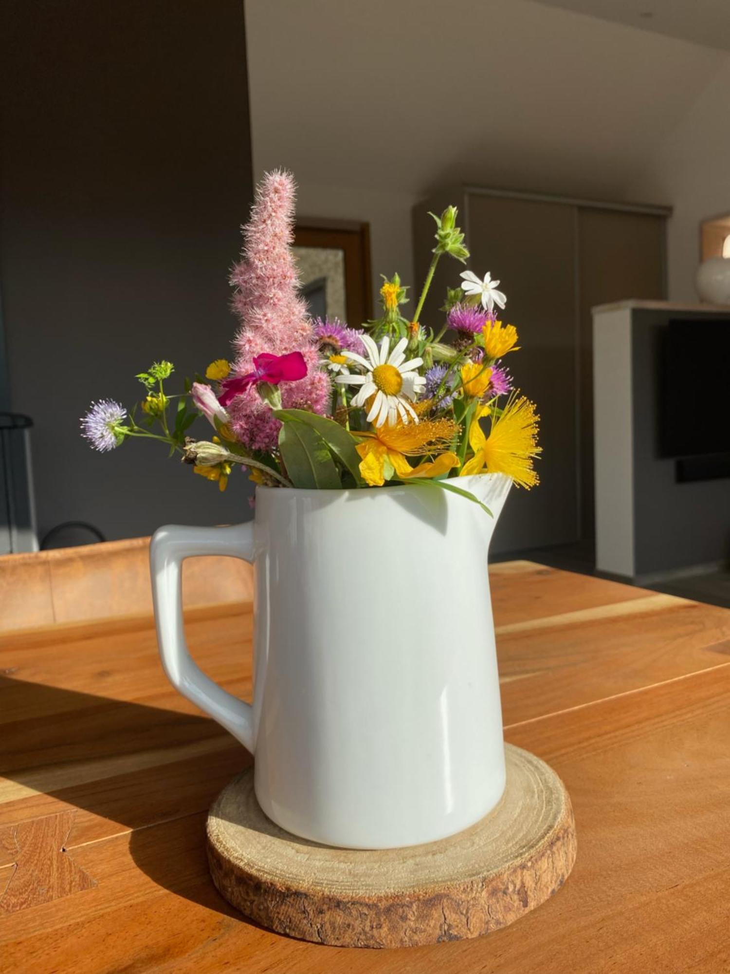 Bed and Breakfast Veyrinas 43 Saint-Yrieix-la-Perche Esterno foto